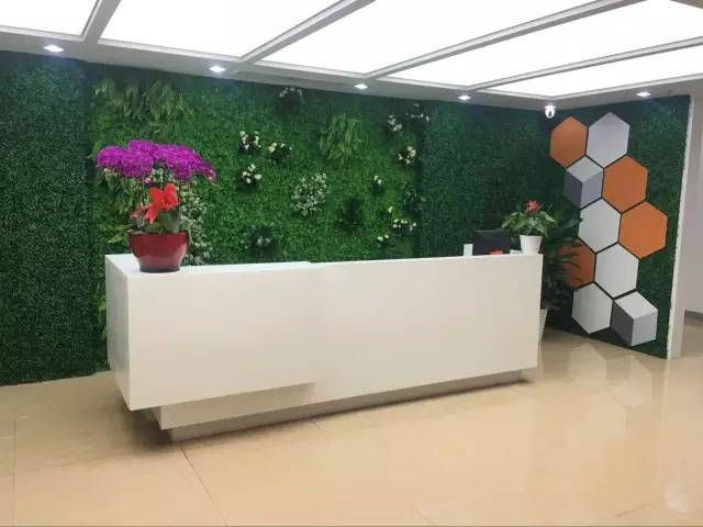 公司前臺擺放什么植物好？